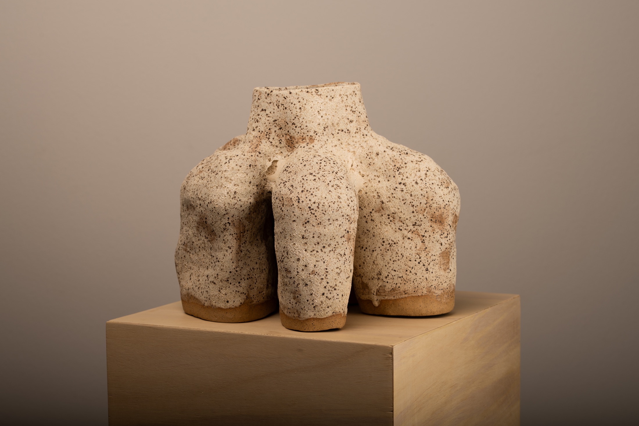Seed sculpture by Victoria Zhuk