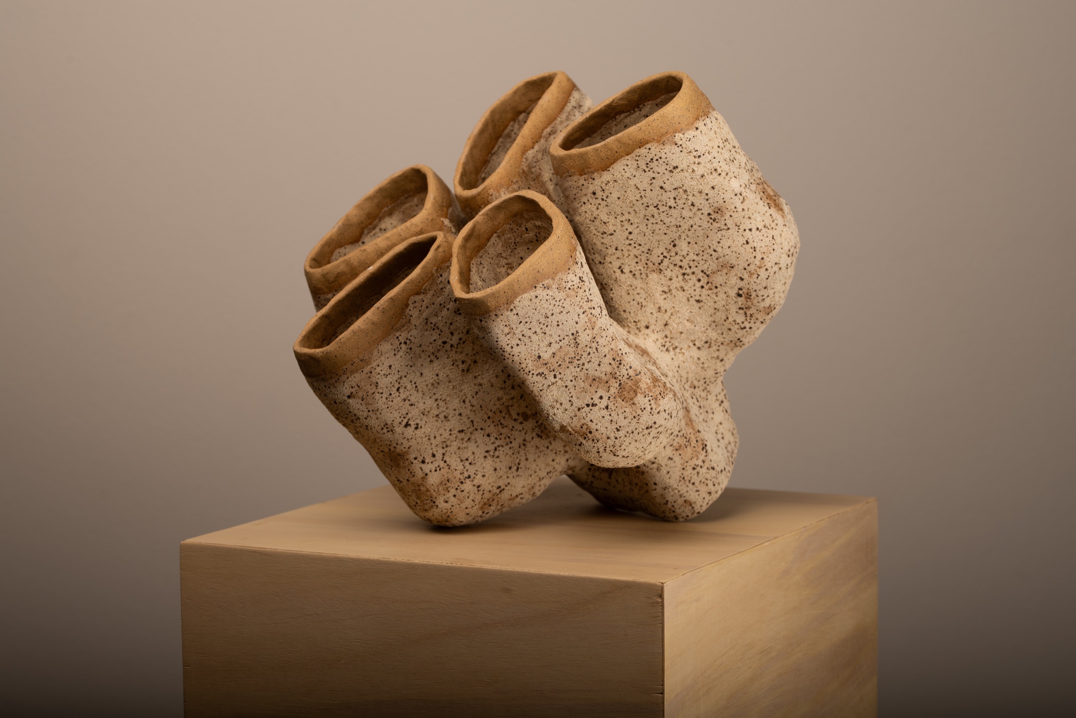 Seed sculpture by Victoria Zhuk