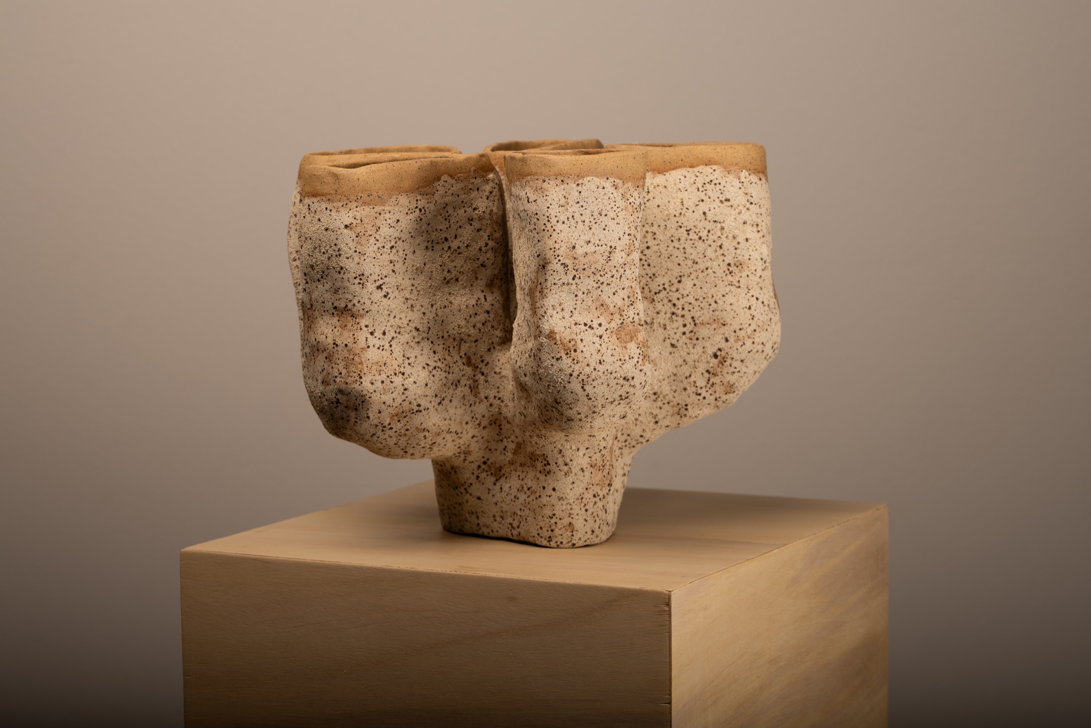 Seed sculpture by Victoria Zhuk