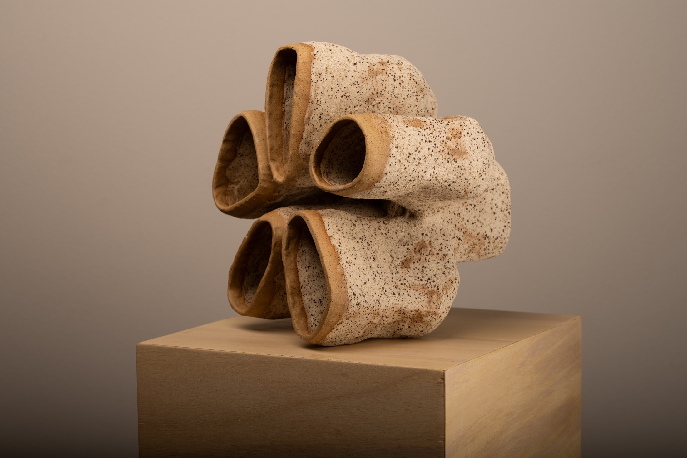 Seed sculpture by Victoria Zhuk